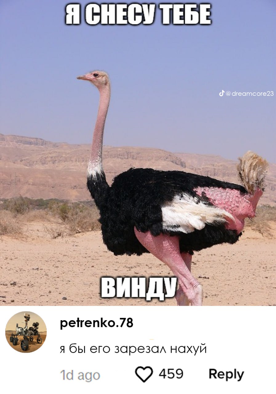 Мем: сон